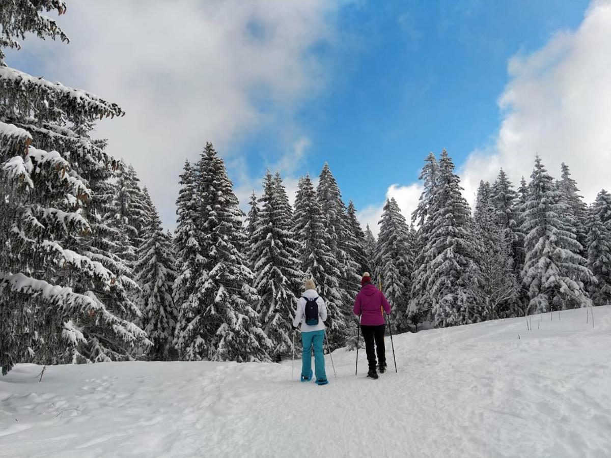 Le Valserine - Eco Responsable Campsite Chezery-Forens