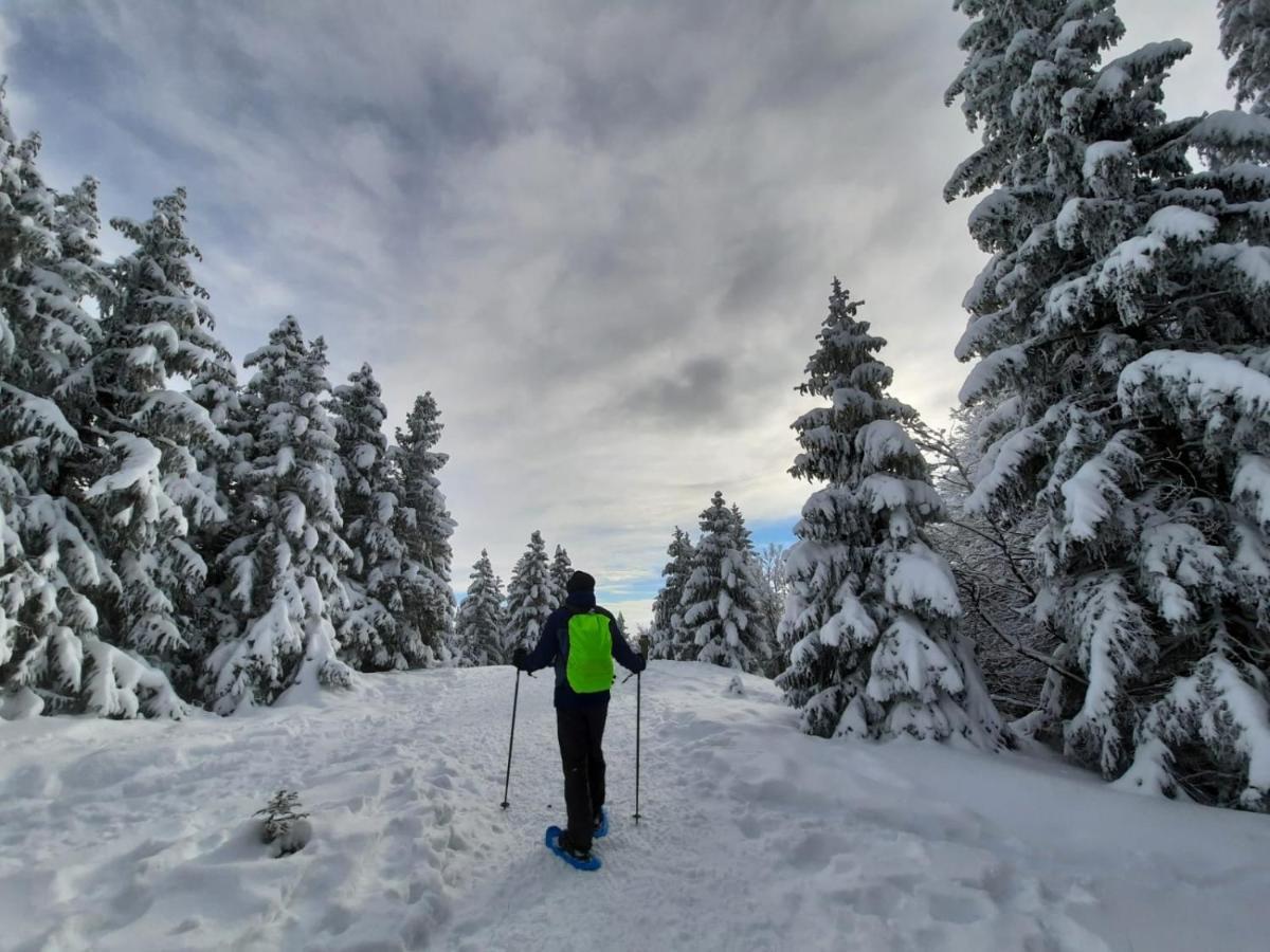 Le Valserine - Eco Responsable 3*