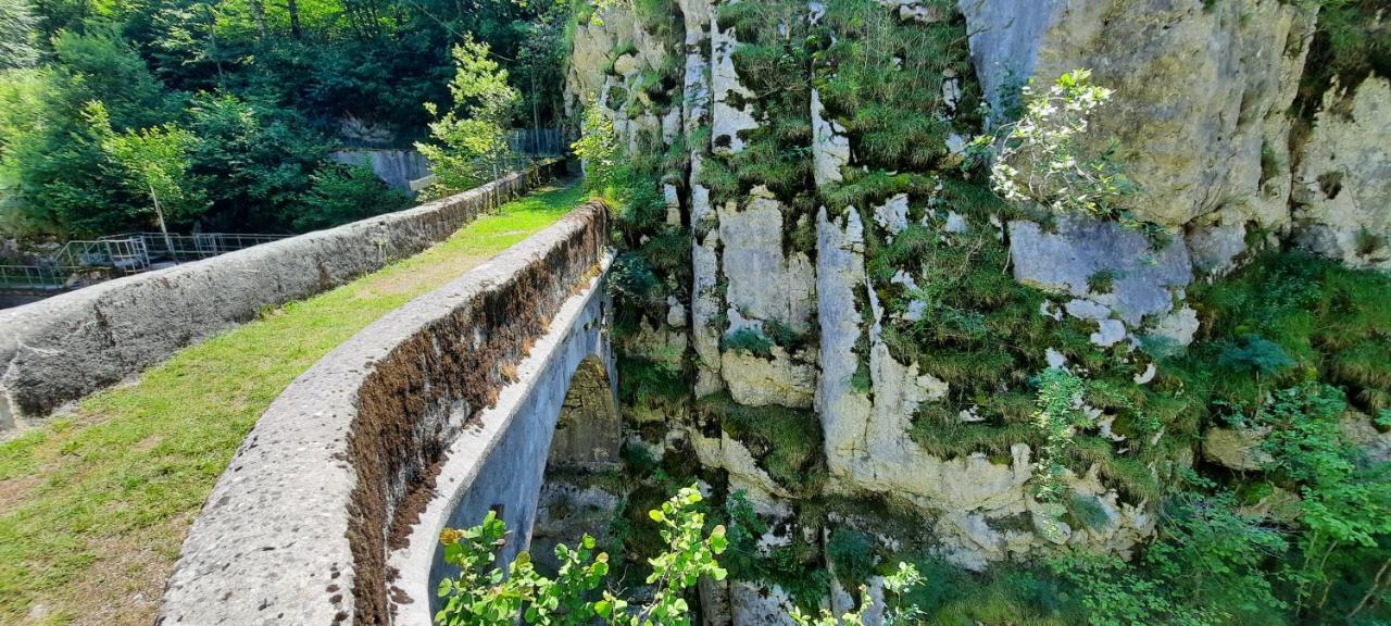 Le Valserine - Eco Responsable Chezery-Forens
